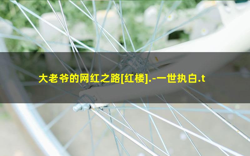 大老爷的网红之路[红楼].-一世执白.txt